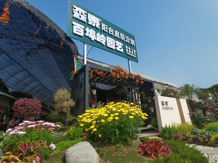 pg赏金女王单机版试玩平台-pg赏金女王单机版试玩平台官方2025最新版11.22.33.350-绿色资源网