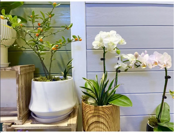 pg�ͽ�Ů������������ƽ̨-pg�ͽ�Ů������������ƽ̨�ٷ�2025���°�11.22.33.350-��ɫ��Դ��