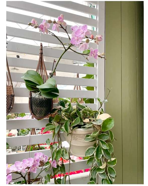 pg�ͽ�Ů������������ƽ̨-pg�ͽ�Ů������������ƽ̨�ٷ�2025���°�11.22.33.350-��ɫ��Դ��