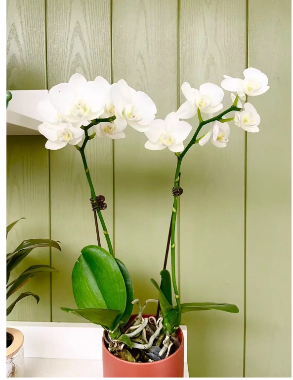 pg�ͽ�Ů������������ƽ̨-pg�ͽ�Ů������������ƽ̨�ٷ�2025���°�11.22.33.350-��ɫ��Դ��